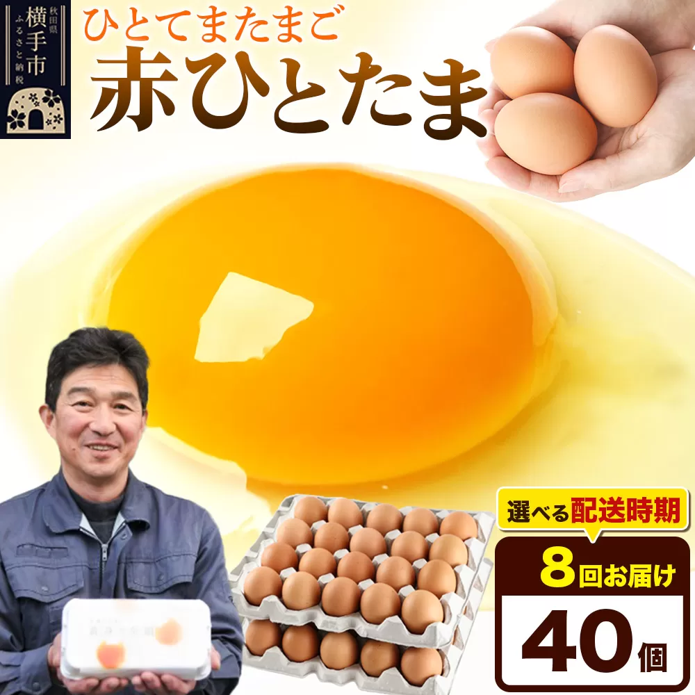 《定期便8ヶ月》赤ひとたま 40個（業務用）【発送時期が選べる】