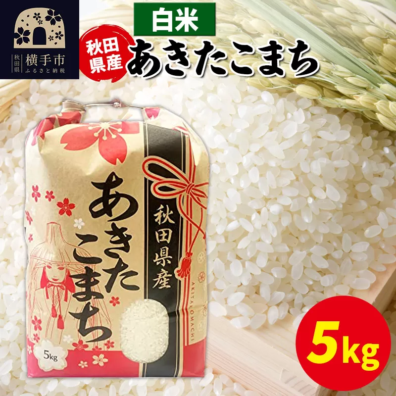 あきたこまち 5kg×1袋[白米]令和6年産 秋田県産 こまちライン