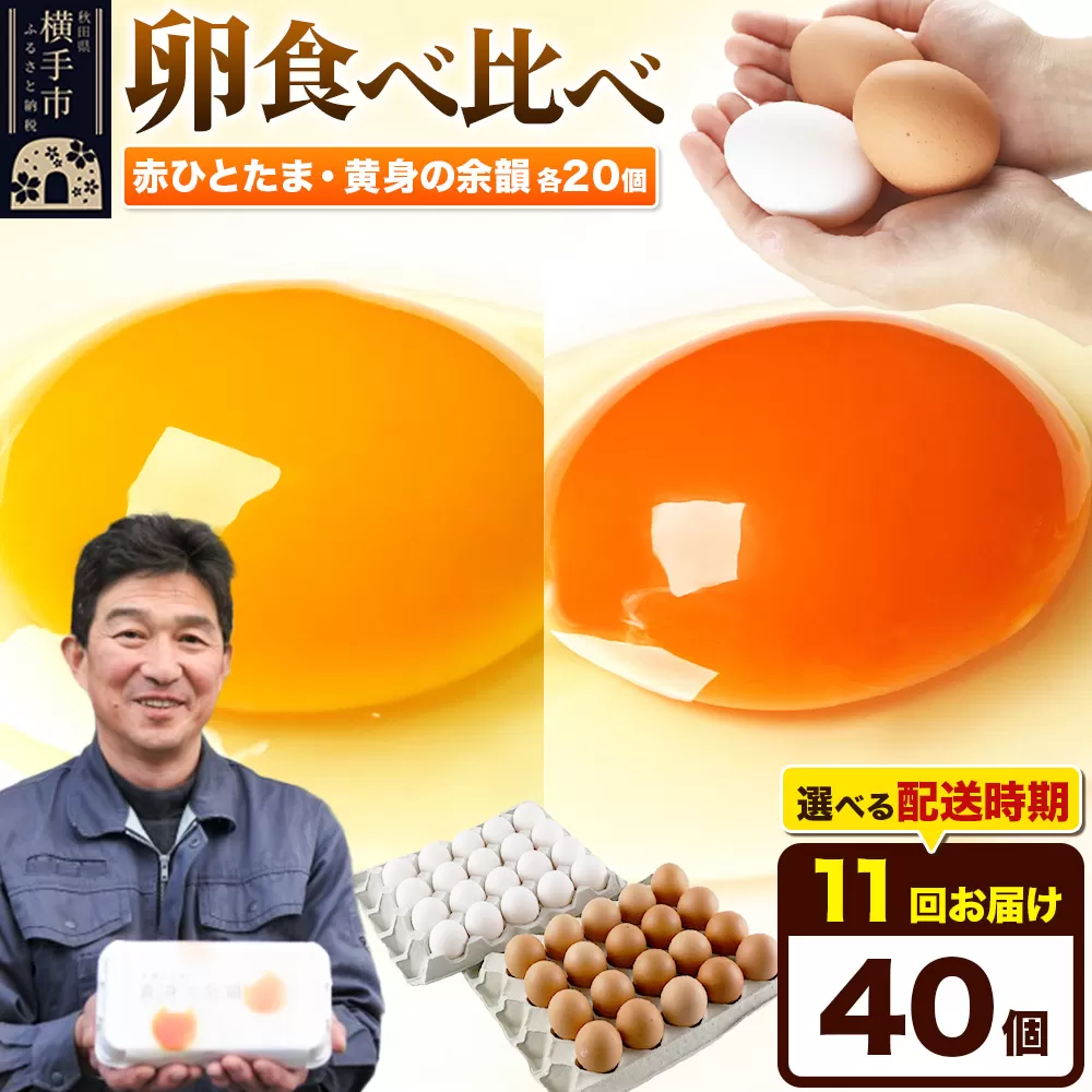 【常温発送】《定期便11ヶ月》赤ひとたま 20個・黄身の余韻 20個 計40個（業務用）【発送時期が選べる】東海林養鶏場 赤ひとたま 黄身の余韻 卵 玉子 たまご タマゴ 11か月 11ヵ月 11カ月 11ケ月 開始時期選べる