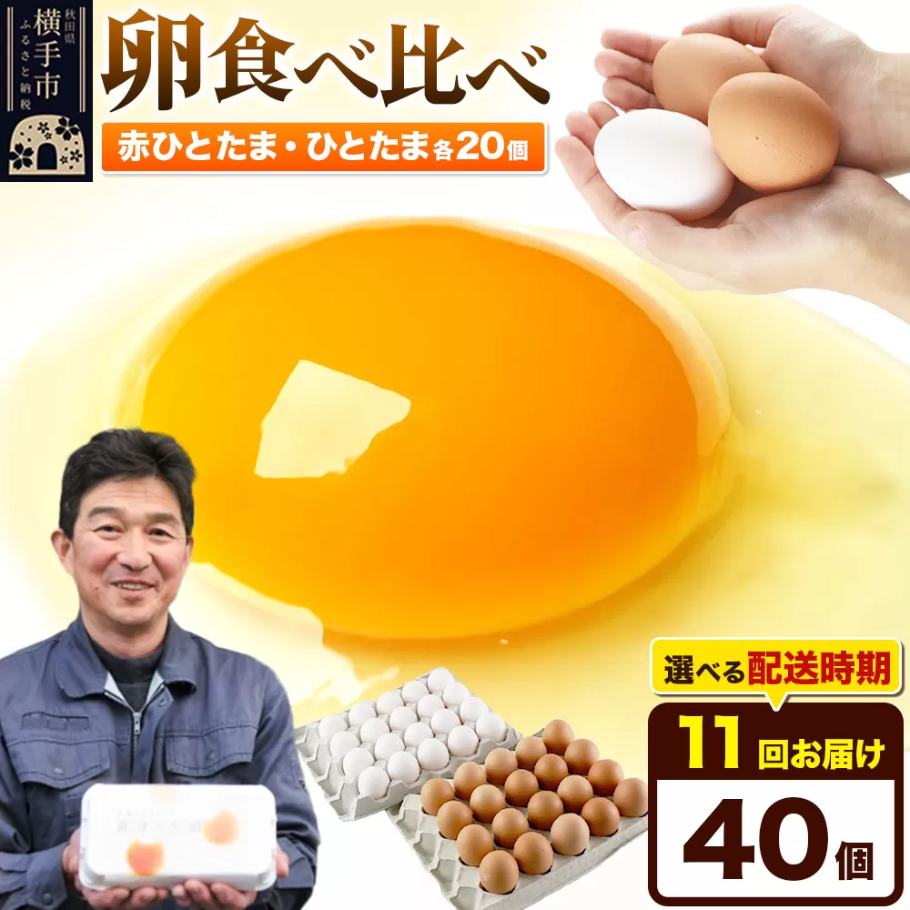 【常温発送】《定期便11ヶ月》赤ひとたま 20個・ひとたま 20個 計40個（業務用）【発送時期が選べる】東海林養鶏場 赤ひとたま ひとたま 卵 玉子 たまご タマゴ 11か月 11ヵ月 11カ月 11ケ月 開始時期選べる