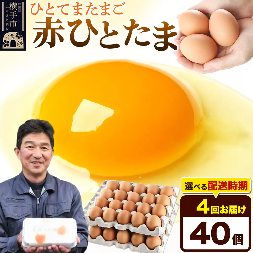 《定期便4ヶ月》赤ひとたま 40個（業務用）【発送時期が選べる】