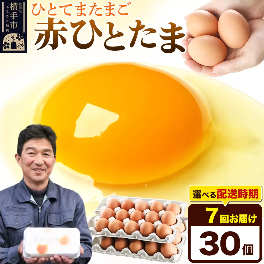 【常温発送】《定期便7ヶ月》赤ひとたま 30個（業務用）【発送時期が選べる】東海林養鶏場 赤ひとたま 卵 玉子 たまご タマゴ 7か月 7ヵ月 7カ月 7ケ月 開始時期選べる