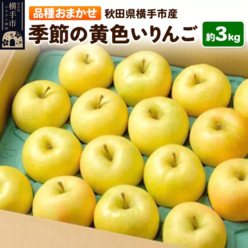 季節の黄色いりんご 約3kg