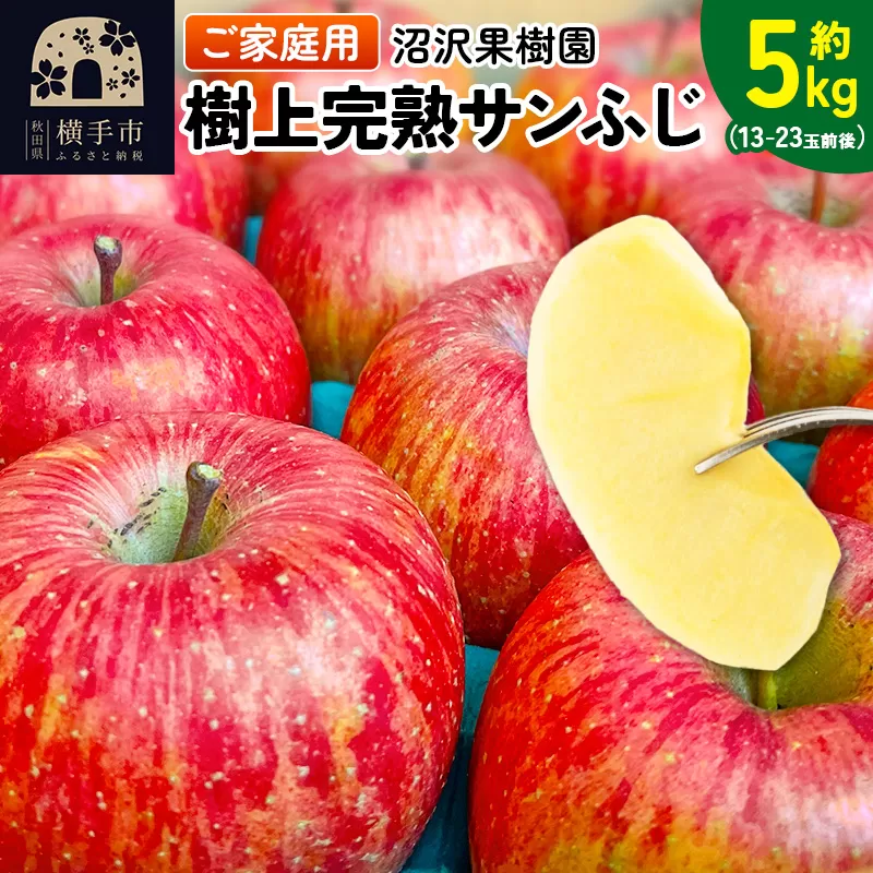 樹上完熟サンふじ ご家庭用 約5kg（13〜23玉前後）