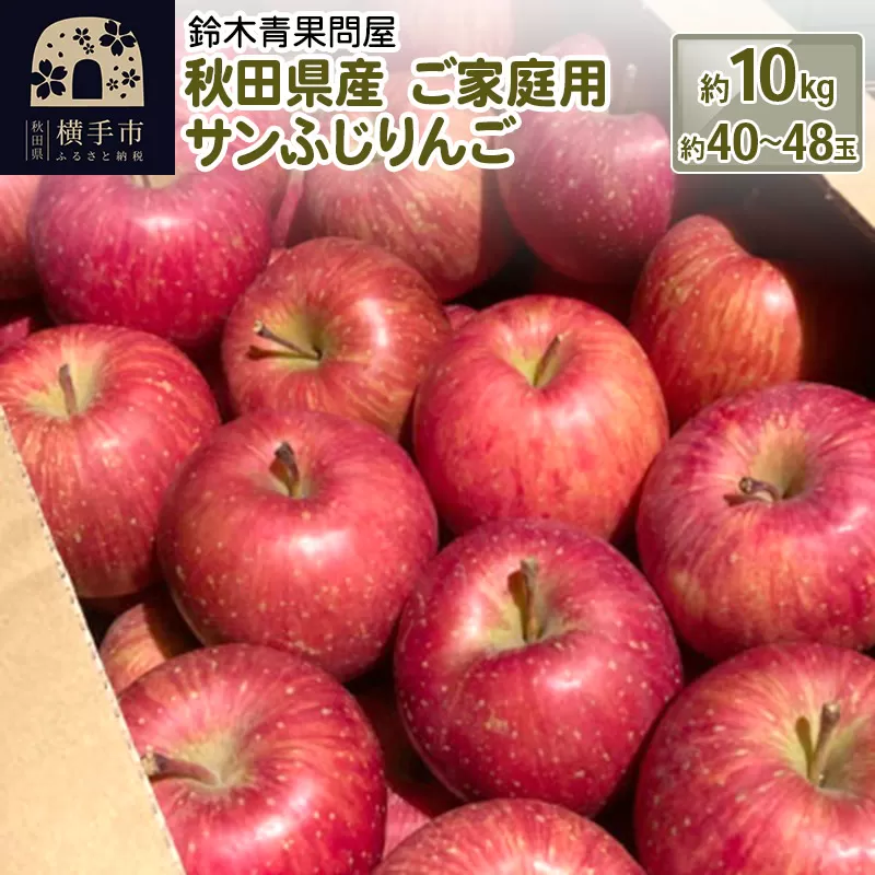 【訳あり】秋田県産 ご家庭用 サンふじりんご 約10kg(40玉〜48玉前後)【簡易梱包での発送】