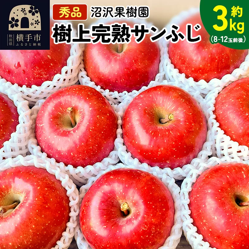 贈り物にもおすすめ！サンフジ 秀品 約3kg（8〜12玉前後）