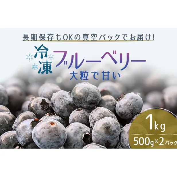 【男鹿ぶるーべりーガーデン】 冷凍ブルーベリー500g×2パック（合計1kg）