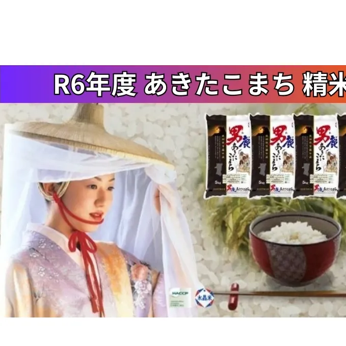 令和6年産 あきたこまち 精米 20kg 5kg×4袋 秋田県 男鹿市 秋田食糧卸販売 お米 新米 ご飯 おにぎり お弁当 秋田県産 産地直送 