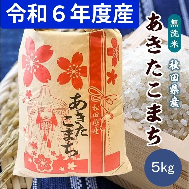 R6年度産 無洗米 あきたこまち 5kg 秋田県 男鹿市 【こまちライン】 