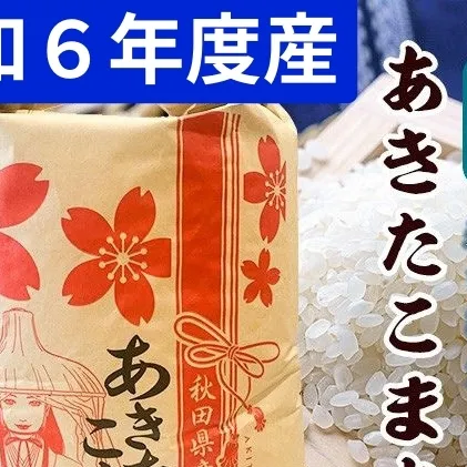 R6年度産 無洗米 あきたこまち 20kg 秋田県 男鹿市 【こまちライン】