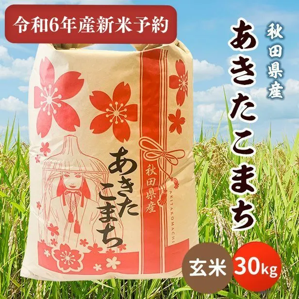 【新米予約】令和6年産秋田県産あきたこまち30kg(玄米) 9月下旬順次発送