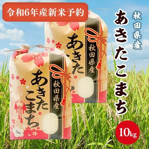 【新米予約】令和6年産秋田県産あきたこまち白米10kg(5kg×2袋)9月下旬順次発送