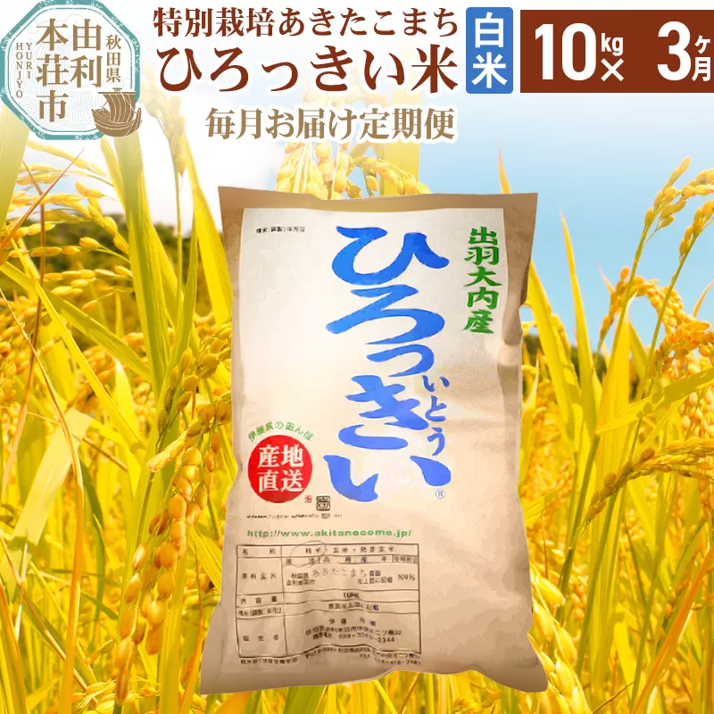 《定期便3ヶ月》【白米】 秋田県産 あきたこまち 10kg  令和6年産 特別栽培米 ひろっきい米