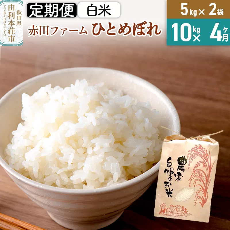 《4ヶ月定期便》令和6年産【白米】秋田県産ひとめぼれ 10kg（5kg×2袋）