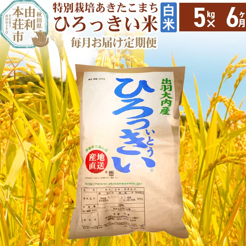 《定期便6ヶ月》【新米予約】【白米】 秋田県産 あきたこまち 5kg 令和6年産 特別栽培米 ひろっきい米