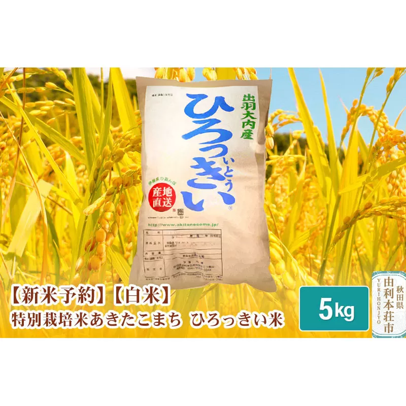 《新米予約》【白米】 秋田県産 あきたこまち 5kg  令和6年産 特別栽培米 ひろっきい米