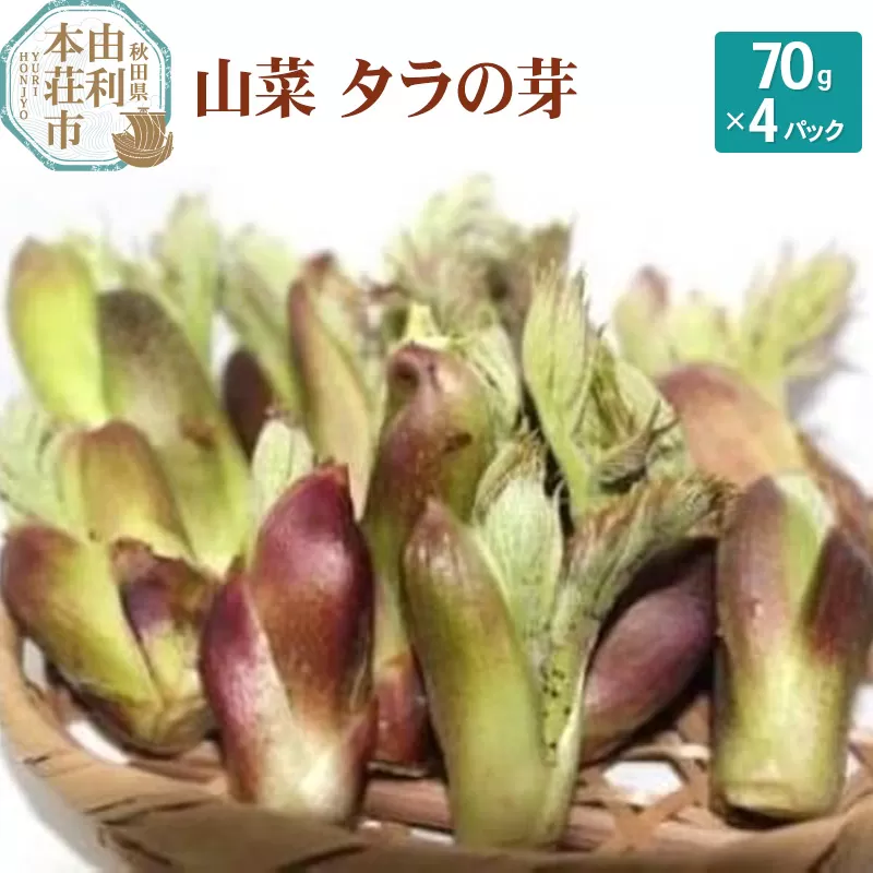 山菜 タラの芽 70g×4パック 天然 （発送は4月〜5月頃）
