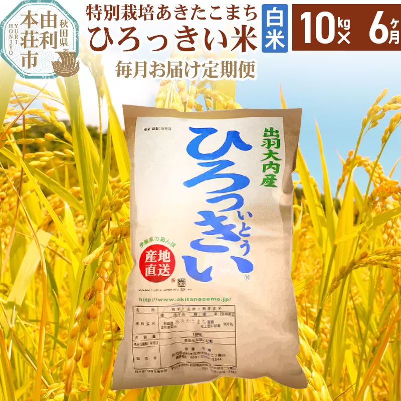 《定期便6ヶ月》【白米】 秋田県産 あきたこまち 10kg  令和6年産 特別栽培米 ひろっきい米