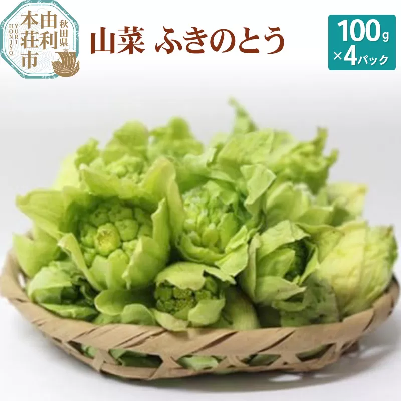 山菜 ふきのとう 100g×4パック 天然 （発送は3月〜4月頃）