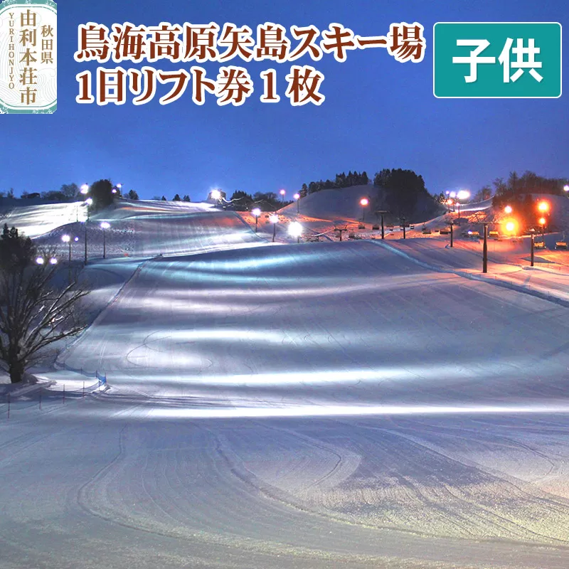 鳥海高原矢島スキー場 リフト1日券 子供(中学生以下) 1枚