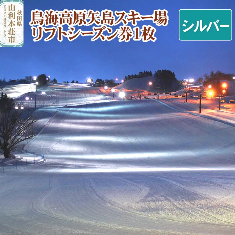 鳥海高原矢島スキー場 リフトシーズン券 シルバー(60歳以上) 1枚