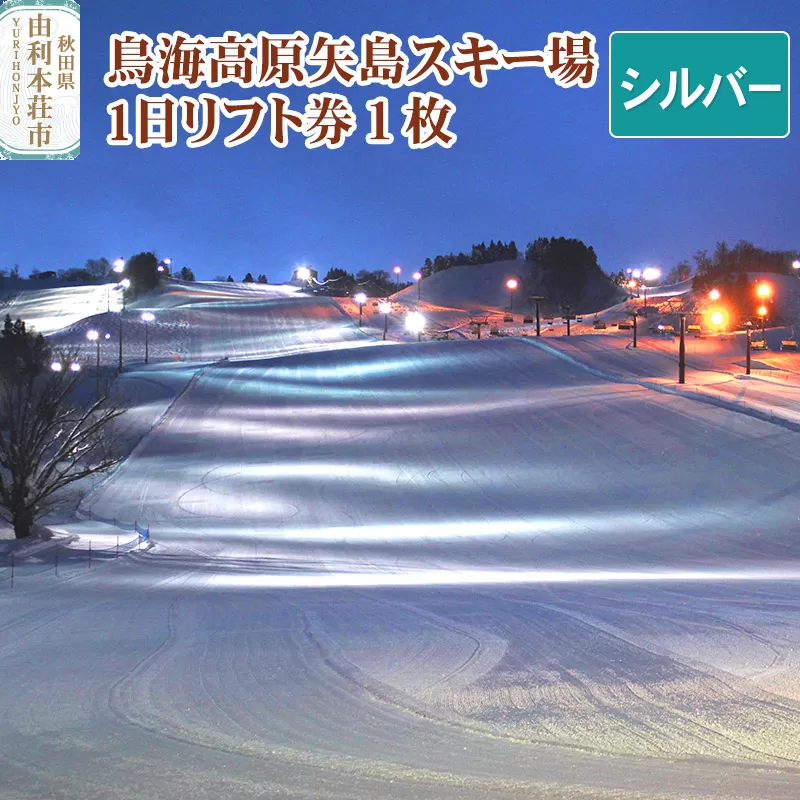 鳥海高原矢島スキー場 リフト1日券 シルバー(60歳以上) 1枚