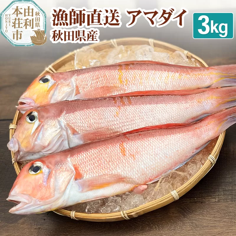 漁師直送 甘鯛 (あまだい)  秋田県産 3kg (配送期間 5月〜10月末予定、期間外は次期予約扱い)