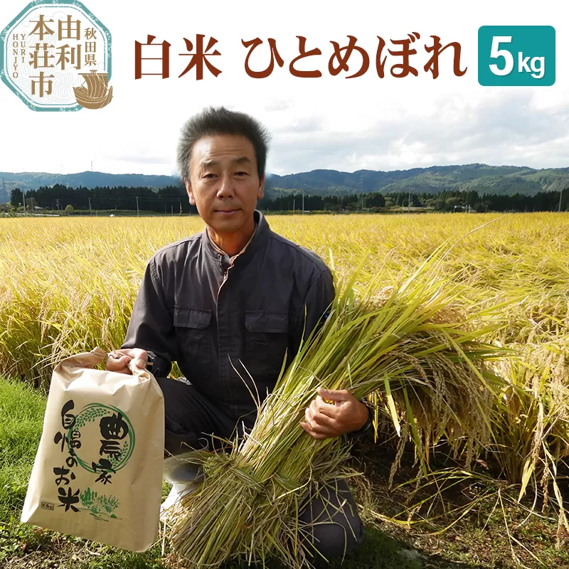 【白米】 ＜通算5回 特A＞ ひとめぼれ   5kg 令和6年産 農家直送 渡部さんのひとめぼれ