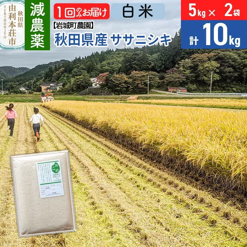 【白米】〈減農薬〉秋田県由利本荘市産 ササニシキ 10kg(5kg×2袋) 令和5年産 新鮮パック 低農薬