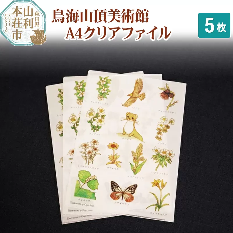鳥海山頂美術館A4クリアファイル ×5枚