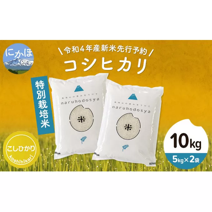 《令和4年産新米先行予約》特別栽培米　コシヒカリ 白米 10kg（5kg×2袋）