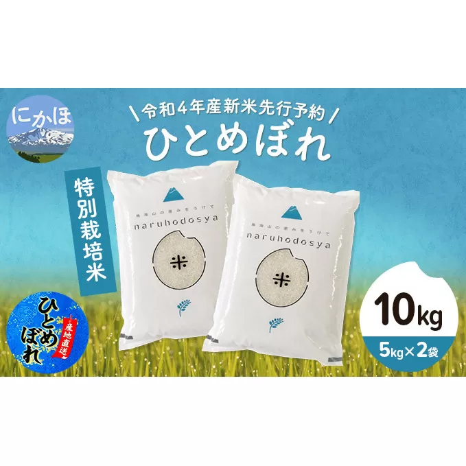 《令和4年産新米先行予約》特別栽培米　ひとめぼれ 白米 10kg（5kg×2袋）