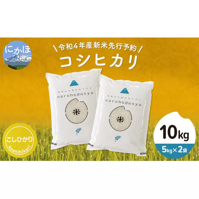 《令和4年産新米先行予約》コシヒカリ 白米 10kg（5kg×2袋）