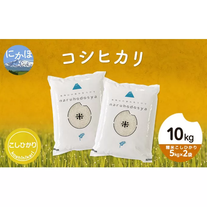 令和4年産 秋田県産コシヒカリ10kg(5kg×2袋 精米 こしひかり ）