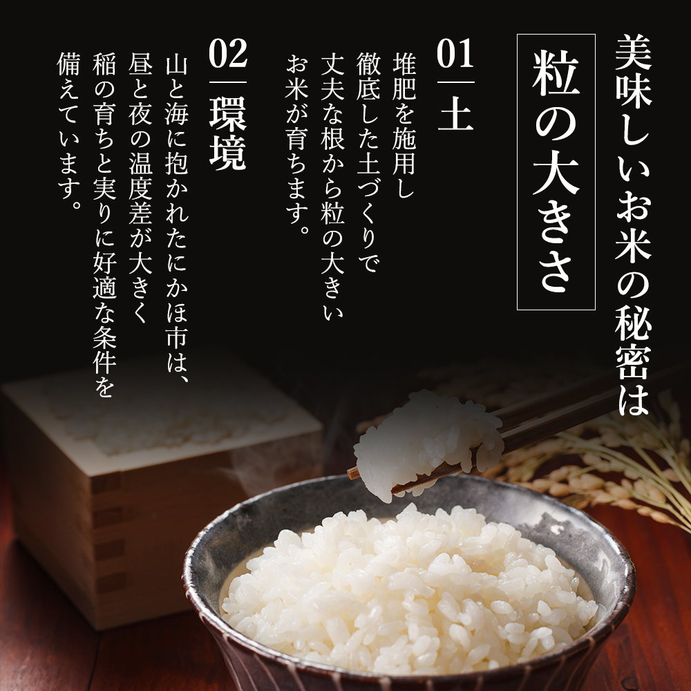 米 秋田 あきたこまち 5kg 土づくり実証米 令和6年産 新米 お米 5キロ 秋田県産 白米 ご飯 精米 ブランド米 低たんぱく 産地直送 送料無料  高評価 こめ おこめ ごはん 秋田県 2024年 2024 令和6年｜にかほ市｜秋田県｜返礼品をさがす｜まいふる by AEON CARD