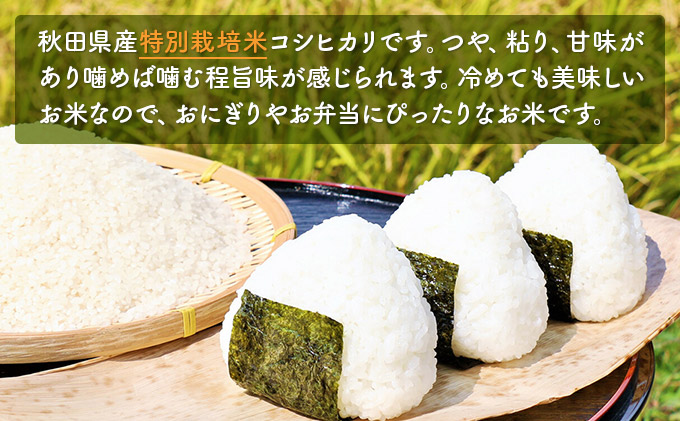 令和4年産 秋田県産 特別栽培米 コシヒカリ 20kg（20kg 1袋 玄米）｜にかほ市｜秋田県｜返礼品をさがす｜まいふる by AEON CARD