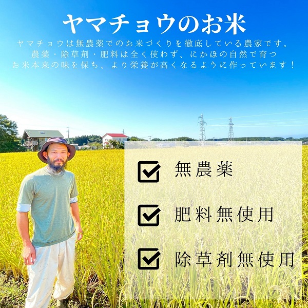 希少品種米】ササニシキの親 農薬不使用のササシグレ「郷山のお米」2kg