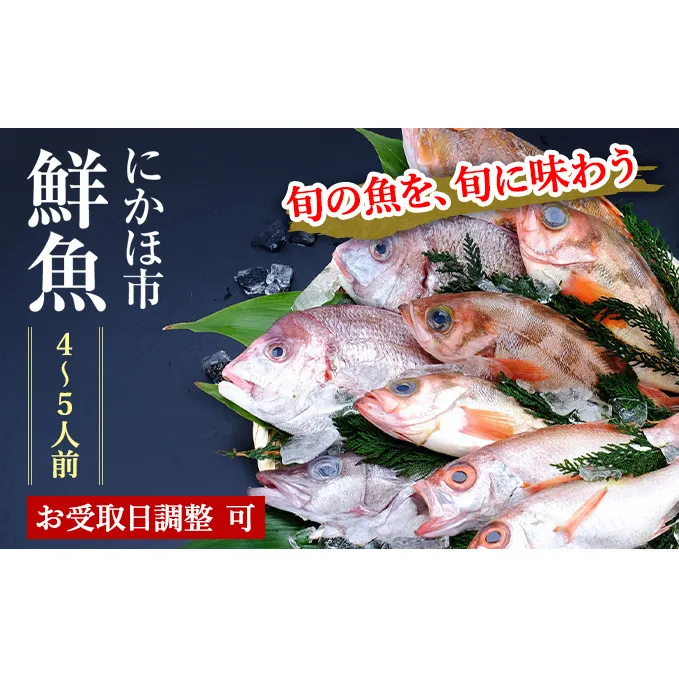 鮮魚 開けたらすぐ食べられる下処理済み 海産物 4～5人前 セット 日本海の鮮魚 魚 パック 詰め合わせ 海鮮セット 鮮魚ボックス 海鮮 海の幸 魚介 魚介類 刺身 切り身 ひらめ 鯛 甘エビ 鯵 あんこう 鮭 カレイ ハタハタ 鱈 ズワイガニ 食べ比べ 冷蔵