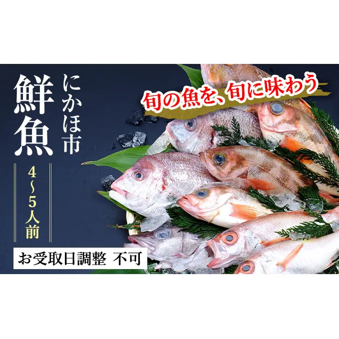 鮮魚 下処理済み 日本海の鮮魚 4～5人前(5～8種類) セット 魚 パック 詰め合わせ 海鮮セット 鮮魚ボックス 海鮮 海産物 海の幸 魚介 魚介類 刺身 切り身 ひらめ 鯛 甘エビ 鯵 あんこう 鮭 カレイ ハタハタ 鱈 ズワイガニ 冷蔵 発送メールのみ