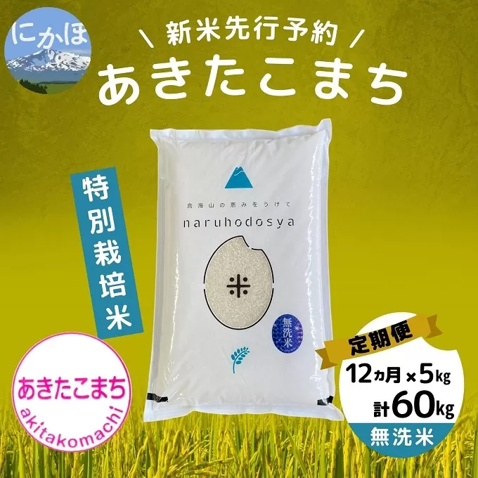 【令和5年産新米予約】【無洗米】<12ヵ月定期便>特別栽培米あきたこまち5kg×12回 計60kg