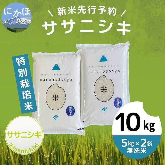 【令和5年産新米予約】【無洗米】特別栽培米ササニシキ10kg（5kg×2）