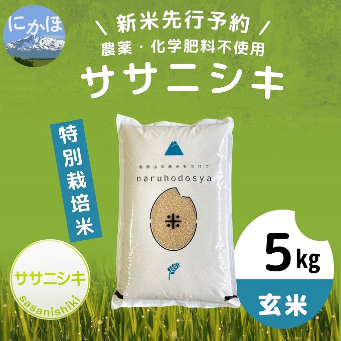 令和5年産新米予約】【玄米】栽培期間中農薬・化学肥料不使用 特別栽培米ササニシキ5kg｜にかほ市｜秋田県｜返礼品をさがす｜まいふる by AEON  CARD