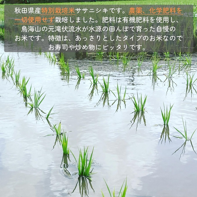 令和5年産】栽培期間中 農薬・化学肥料不使用【無洗米】特別栽培米ササニシキ5kg×1｜にかほ市｜秋田県｜返礼品をさがす｜まいふる by AEON  CARD