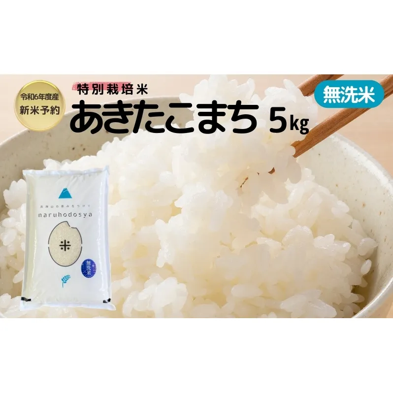 【令和6年産新米予約】【無洗米】特別栽培米あきたこまち5kg×1
