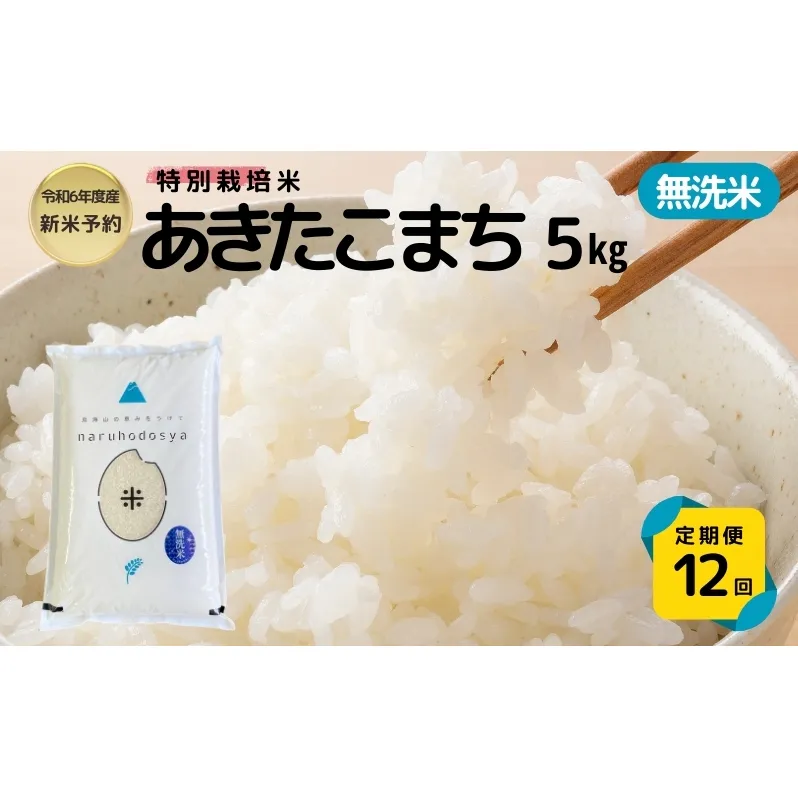 【令和6年産新米予約】<12ヵ月定期便>【無洗米】特別栽培米あきたこまち5kg×12回 合計60kg