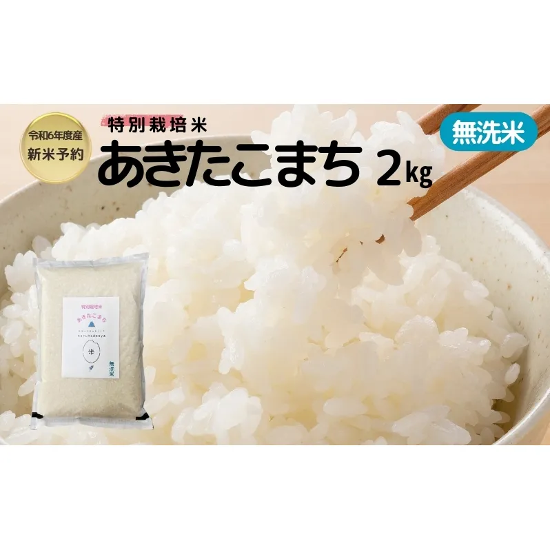 【令和6年産新米予約】【無洗米】特別栽培米あきたこまち2kg×1