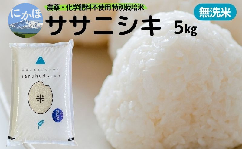 栽培期間中 農薬・化学肥料不使用 【無洗米】特別栽培米ササニシキ5kg×1 令和6年産 秋田県 にかほ市 お米 米  こめ｜にかほ市｜秋田県｜返礼品をさがす｜まいふる by AEON CARD