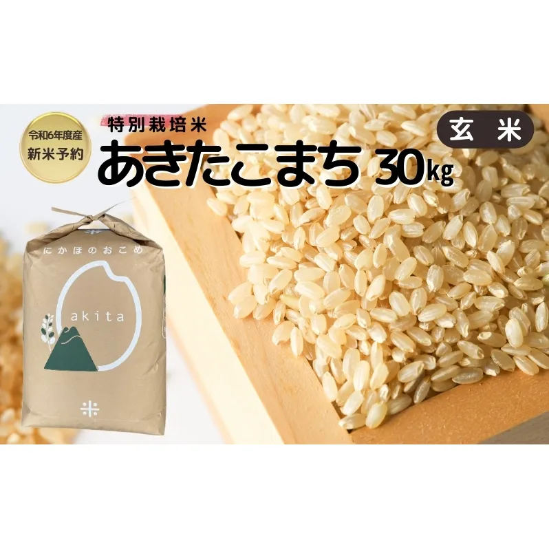 【令和6年産新米予約】【玄米】特別栽培米あきたこまち30kg×1