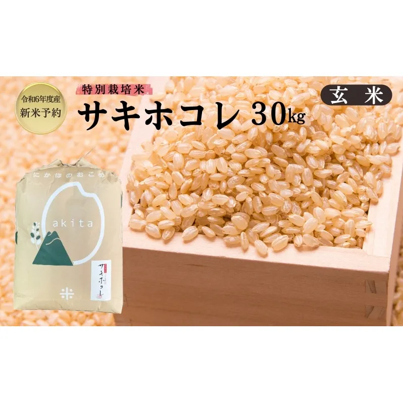 【令和6年産新米予約】【玄米】特別栽培米サキホコレ30kg×1