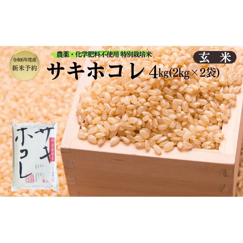 【令和6年産新米予約】栽培期間中 農薬・化学肥料不使用【玄米】特別栽培米サキホコレ4kg（2kg×2）